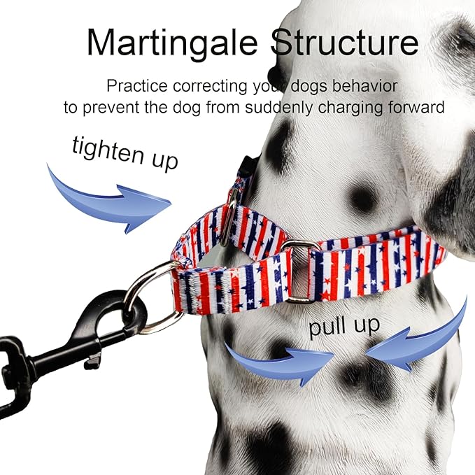 American Flag Martingale Collar 4th of July Star Holiday Dog Collar with Buckle Adjustable Pet Collars (Red Blue Patriotic Stripes, Large)