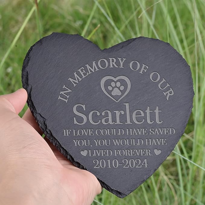 Pet Memorial Gifts, Pet Memorial Stone, Dog Memorial Stone, Dog Memorial Gifts for Loss of Dog, Cat Memorial Gifts, Pet Loss Gifts, Loss of Dog Sympathy Gift, in Memory of Pet - Lived Forever