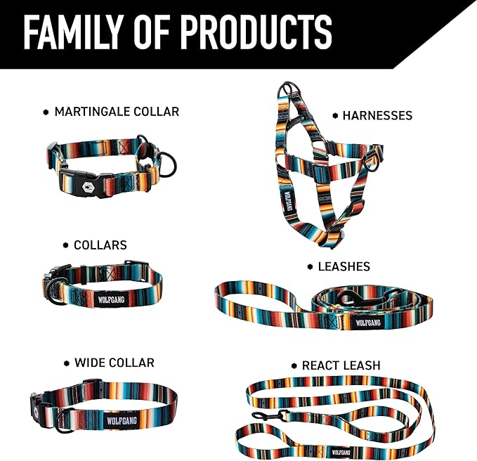 Wolfgang Heavy Duty Martingale Dog Collar with Quick Release Nylon Buckle for Walking & Training, LostArt Print, Medium