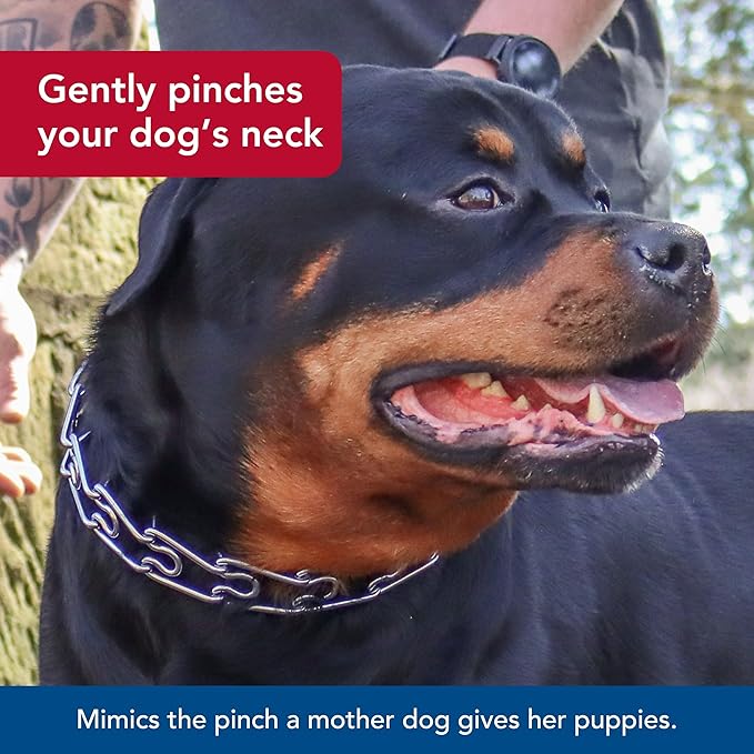 Coastal Pet Titan Dog Prong Quick Release Training Collar - Pet Training Collar for Dogs - Rust-Resistant Metal Dog Collar for Dog Training - Prong Dog Chain Collar - Quality Dog Supplies -3.3mm x 20"