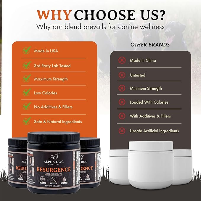 Resurgence Dog Electrolytes by Alpha Dog Nutrition | Promote Dog Hydration, Increase Stamina, and Boost Recovery | Electrolyte Water Additive or Food Topper to Prevent Dehydration with Beef Flavoring