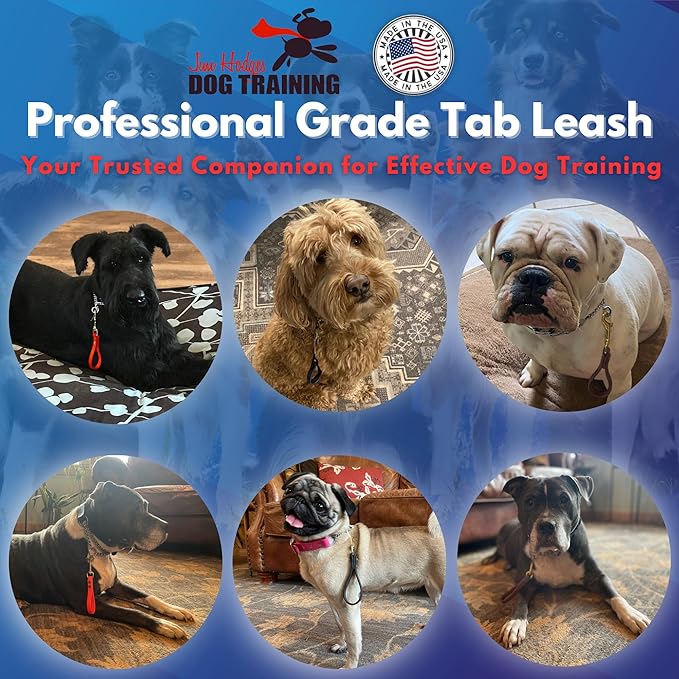 Biothane Training Tab Leash for Dogs, Brass Hardware, No Pull with Easy Grip Handle, Made in The USA, Professional Grade-Orange