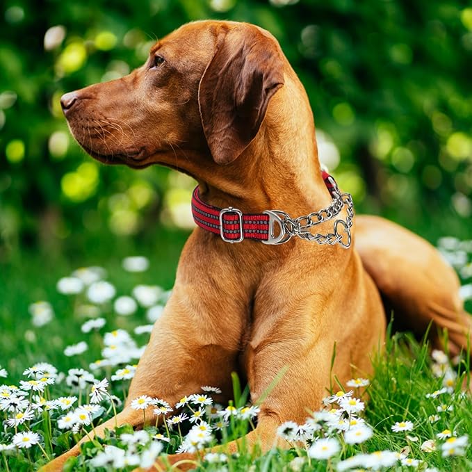 Martingale Dog Collar with Reflective Padded Strap, Anti-Choke & No-Pull Design Dog Collars with Heavy-Duty Chain, Perfect for Medium Large Extra Large and XXL Dogs (Red M)