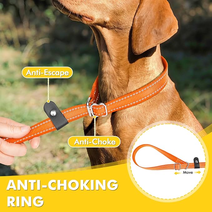 XiaZ 6FT Dog Leash with Comfortable Flat Collar and Soft Padded Handle,Nylon Reflective Double Handle No Pull Leash for Small Medium Large Dogs, Training Walking Running (Orange)