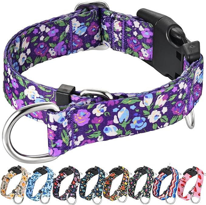 Martingale Collar for Dogs with Buckle Adjustable Nylon Slip No Pull Training Dog Collars (Purple Floral, Small)