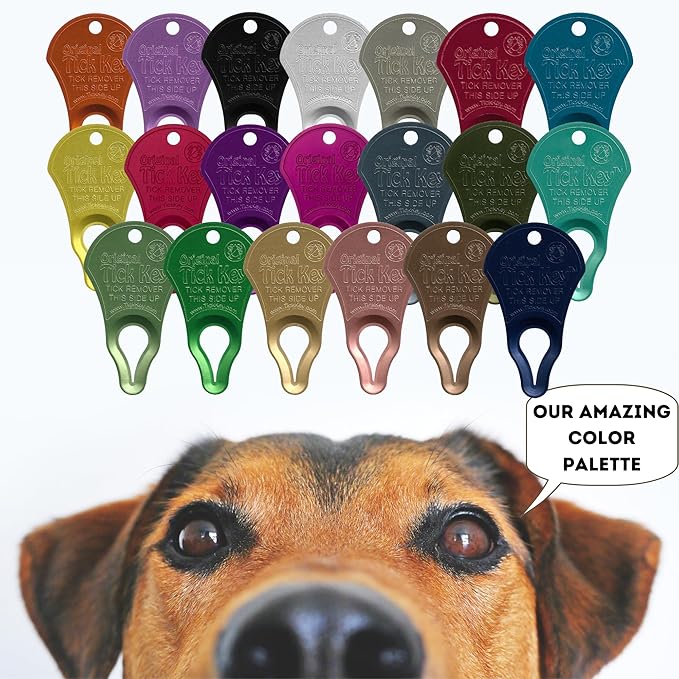 The Original Tick Key -Tick Detaching Device - Portable, Safe and Highly Effective Tick Detaching Tool - 3 Pack (Earth)