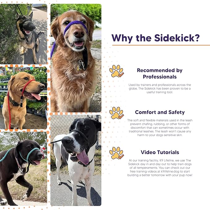 The Sidekick, Reg 3/8" Colors: Purple