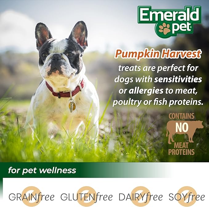 Emerald Pet Pumpkin Harvest Mini Trainers with Banana Chewy Dog Treats Made in The USA, 6oz (Banana Mini)