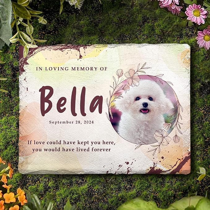 Dog Memorial Stone - Personalized Plaque in Loving Memory of Dogs, Pups - Unique Background Color Stones with Custom Pet Photo for Sympathy Gift - You Would Have Lived Forever