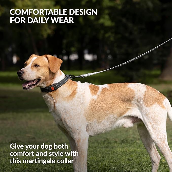 CollarDirect Martingale Dog Collar with Stainless Steel Chain and Quick Release Buckle - Reflective Collar for Large, Medium, Small Dogs - Black, Medium (Neck Size 14"-17")