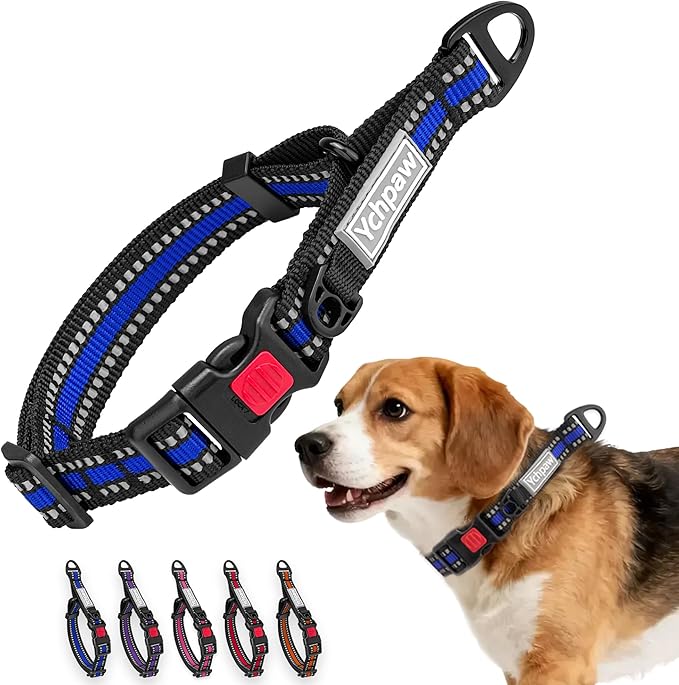 Martingale Collar for Dogs Reflective Collar with Quick Release Buckle, Adjustable Nylon Collars for No Slip Dog Collar, Blue, S