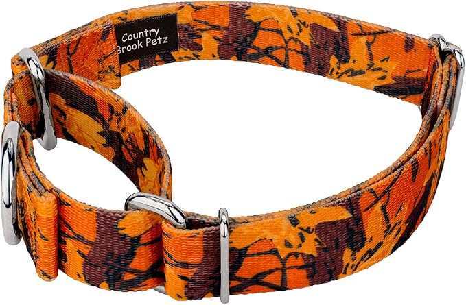 Country Brook Petz - Orange Sunset Camo Martingale Dog Collar - Camouflage Collection Featuring Rugged Designs (1 Inch, Medium)