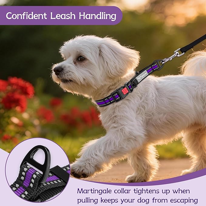 Martingale Collar for Dogs Reflective Collar with Quick Release Buckle, Adjustable Nylon Collars for No Slip Dog Collar, Purple, XS