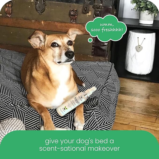 Molly Mutt Fresh Dog Bed Deodorizer, Air Freshener Spray for Dog Bed and Puppy Bed, Infused with Lavender Scent and Geranium Oil, Pet Supplies, 6 fl. oz./177 ml.