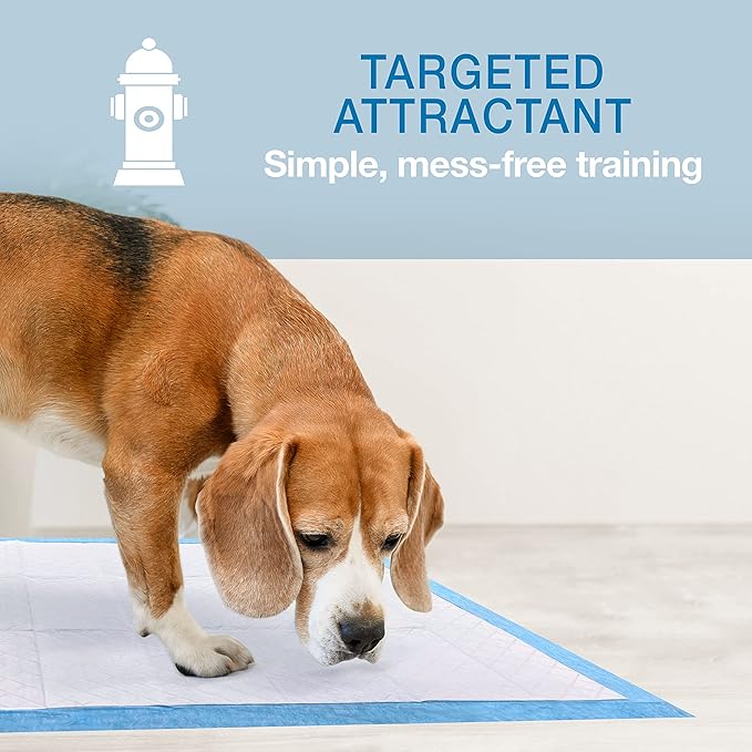 Four Paws Wee-Wee Odor Control with Febreze Freshness Pee Pads for Dogs & Puppies, Leak-Proof Dog Housebreaking Potty Training Floor Protection, Spring Fresh Scent, 22" x 23", 10 Count