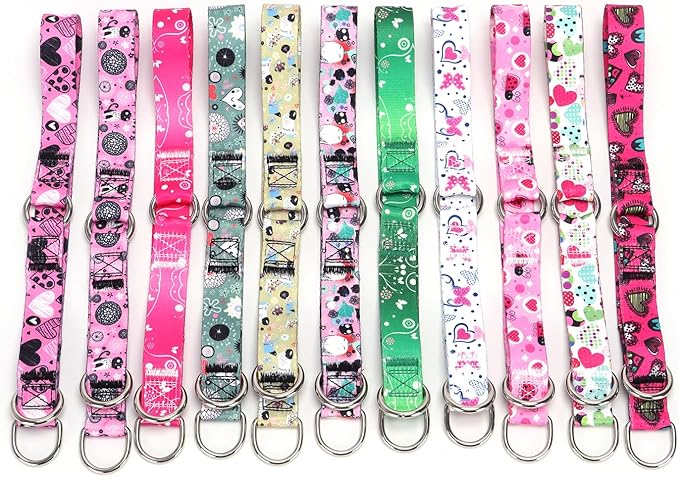 Training Dog Collar - No Pull Martingale, Slip With Slidable Stop Ring for Small, Medium, Large Dogs (NO8, M)