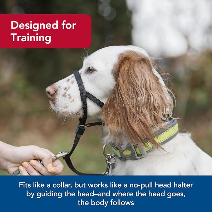 Coastal Pet Walk 'n Train Dog Head Halter - Head Colllar Dog Leader - No-Pull Pet Harness - Quick-Drying Polyester - Black - Medium