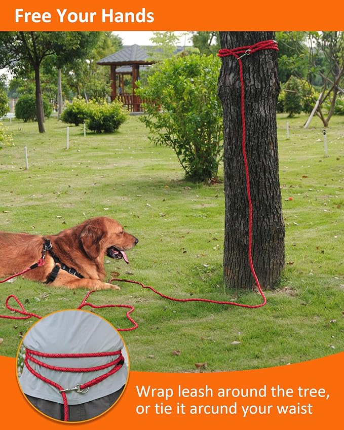 Long Dog Leash for Dog Training 30FT, Heavy Duty Dog Lead for Large Medium Small Dogs Outside Walking, Playing, Camping, or Yard,Red