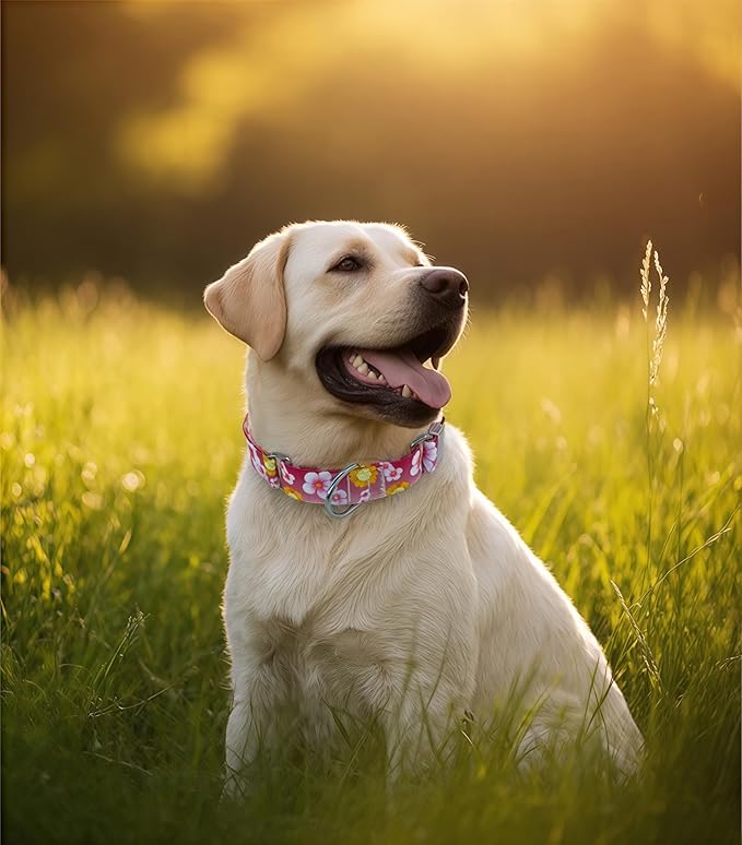 Martingale Dog Collar, Adjustable Soft No Pull Training Collar with No Buckle, Floral Pattern No Slip Martingale Collars for Small Dogs (3/4" Width S)