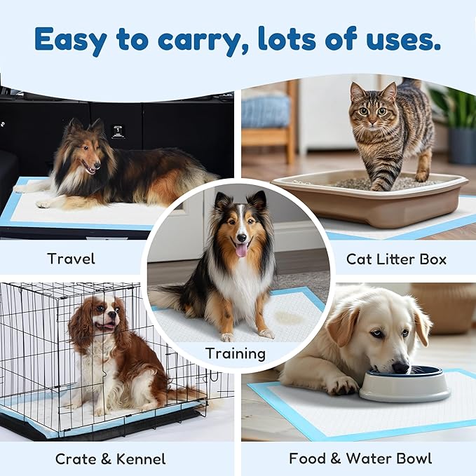 Super Absorbent Waterproof Dog and Puppy Pet Training Pad, Housebreaking Pet Pad, 50-Count Small-Size, 17.1’’X23.6’’, Blue