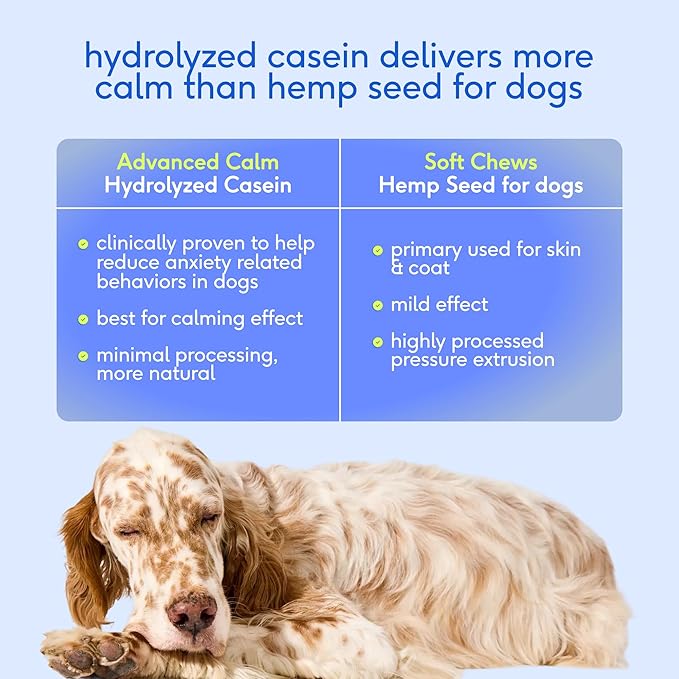 Native Pet Advanced Calming Chews for Dogs Medium Breed - Anxiety Relief, Stress, Separation & Sleep Support with Melatonin for Dogs, Hydrolyzed Casein, Valerian Root & L-Tryptophan - 30 Days Supply