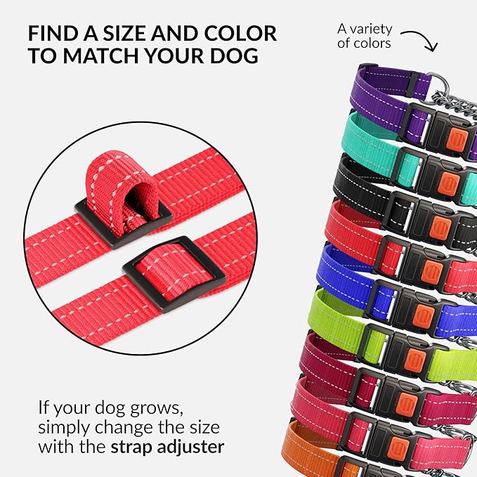 CollarDirect Martingale Dog Collar with Stainless Steel Chain and Quick Release Buckle - Reflective Collar for Large, Medium, Small Dogs - Red, Small (Neck Size 12"-15")