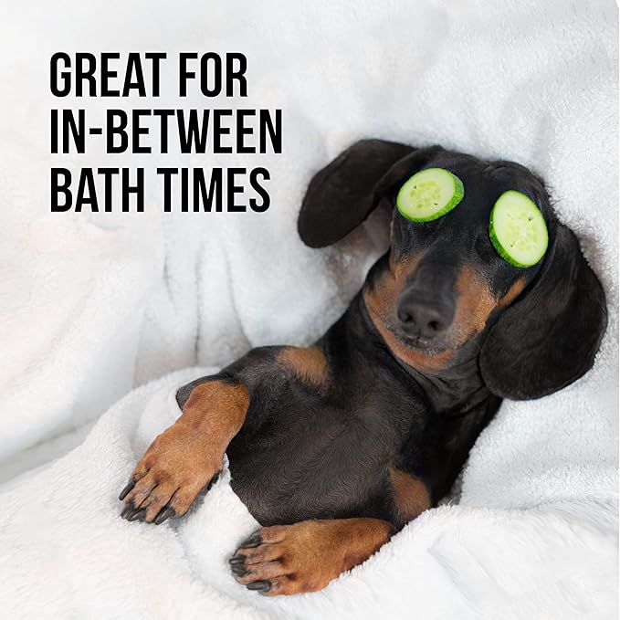 Natural Rapport Dog Deodorant Spray, The Only Between Bath Spray Dogs Need, Natural Cat and Dog Cologne Spray Eliminates Smelly Odours Between Baths (Male)