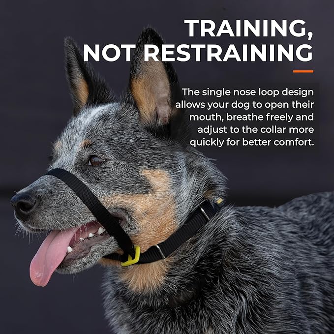 Canny Collar No-Pull Dog Head Collar | Train Your Dog to Stop Pulling & Walk On a Loose Leash | Gentle, Safe, Comfortable Training Aid | Medium Dogs | Red, Size 4