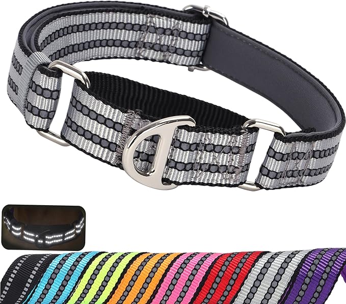 Martingale Dog Collar for Medium Dogs, Reflective Nylon No Pull Choke Collar with Padded Comfort & Adjustable Safe Dog Collar No Buckle for Nighttime Walking & Training -Silver M