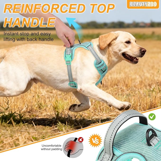 BEAUTYZOO No Pull Dog Harness, Adjustable Dog Harness and Leash Set -Easy Wearing with 3 Buckles/Control Handle,No Choke Soft Padded Reflective Pet Vest for Training Walking Hiking,Solid Aqua Blue L