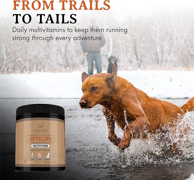 OptiLife Dog Multivitamin Powder - Adult Dog Multivitamin with Probiotics, Allergy Support, Joint Support, Skin & Coat Support - Dog Vitamins and Supplements - Multivitamin for Dogs (60 Servings)