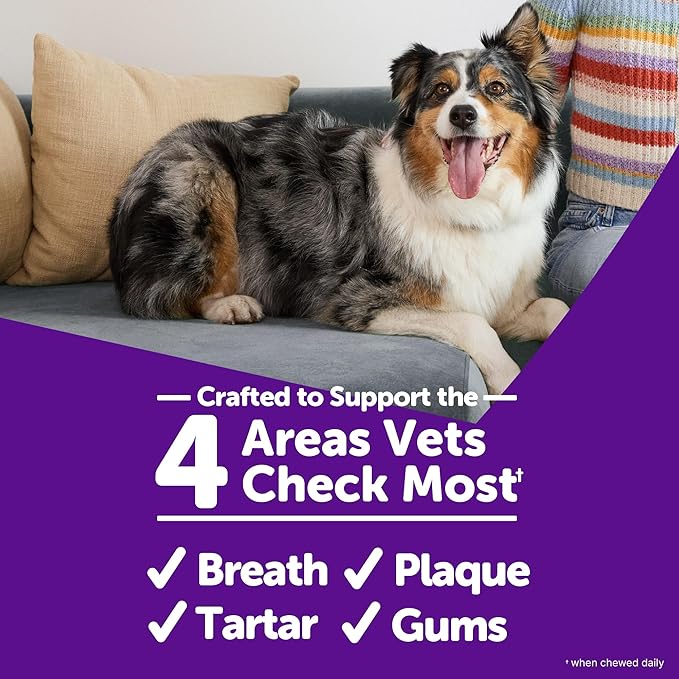 Whimzees Wellness Brushzees Dog Dental Treats, Extra Small Size Stick, (48 Count)