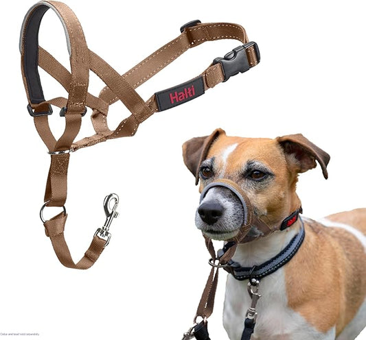 Halti Headcollar - Stop Your Dog Pulling on The Leash. Adjustable, Reflective and Lightweight, with Padded Nose Band. Dog Training Anti-Pull Collar for Small Dogs (Size 1, Desert Sand)