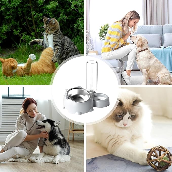 Dog Bowls, Cat Food and Water Bowl Set 16 Degree Tilted Dog Dish with Water Dispenser Automatic Dispenser Bottle Spill Proof Pet Feeder for Cats and Dogs