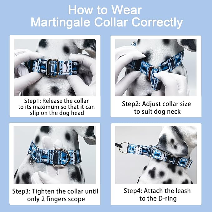 Reflective Martingale Collar for Dogs Nylon Training Collar with No Buckle, No Pull Escape Proof Dog Collar for Small Dogs（Blue Dinosaur，S）