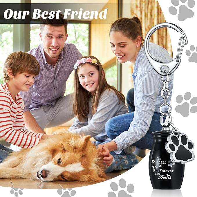 Tudomro Cremation Pet Dog Urns Keychain for Ashes with Storage Bag Stainless Steel Small Cat Paw Memorial Keepsake Jewelry