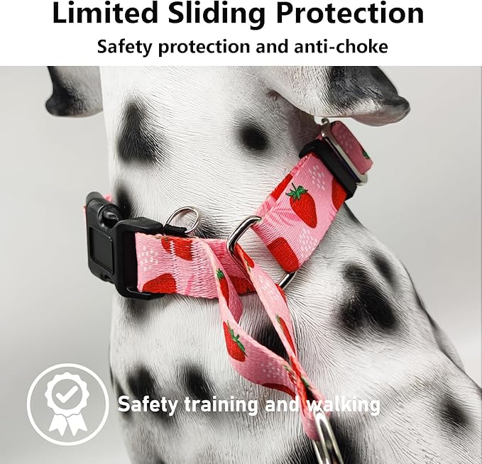 Martingale Collar for Dogs with Buckle Adjustable Nylon Slip No Pull Training Dog Collars (Pink Strawberry, Small)