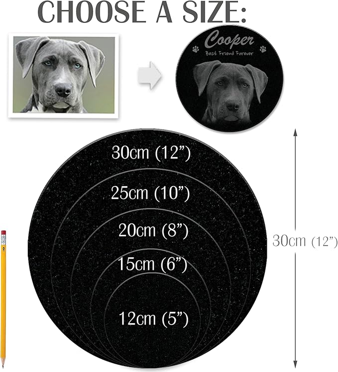 ADFSTONE Pet Memorial Stones Personalized Dog Remembrance Gifts, Customized Cat Picture Grieving Plaque, DIY Gravestone, Custom Sympathy Photo Gift, Animal Grave Markers