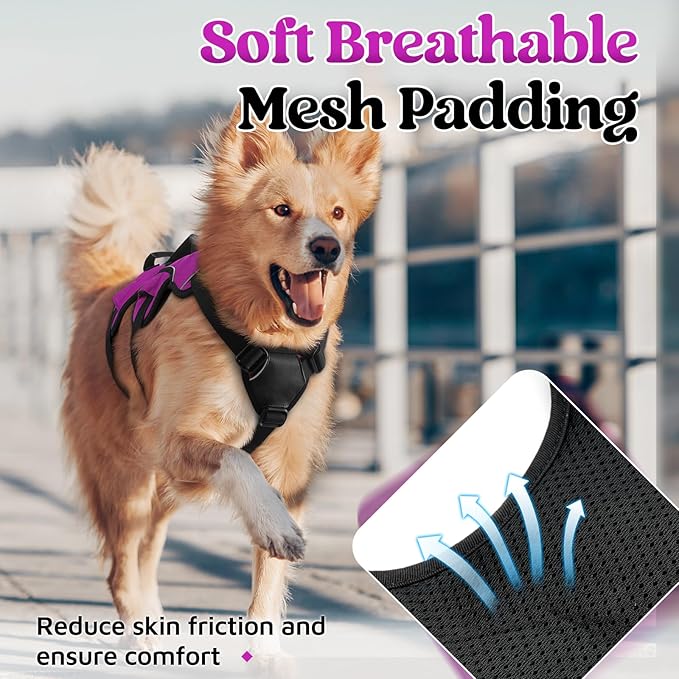 rabbitgoo Escape Proof Dog Harness, Soft Padded Full Body Pet Harness, Reflective Adjustable No Pull Vest with Lift Handle and Lesh Clip for Large Dogs Walking Hiking Training, L, Purple