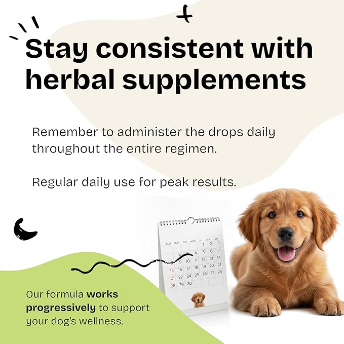 Forever Puppy Adrenal Support Drops for Dogs - Pure Ashwagandha & Ginseng Root Tincture for Adrenal Health & Energy Support - Calming Care Liquid Supplement for Dogs of All Breeds & Sizes - 2 oz