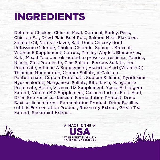 Wellness Complete Health Puppy Dry Dog Food, Wholesome Grains, Natural, Chicken, Oatmeal, & Salmon Recipe, (30-Pound Bag)