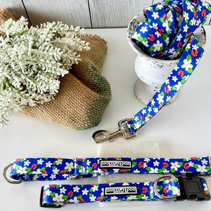 Lucky Love Dog - Adjustable Dog Collar with Easy Click Buckle for Small Dogs, Durable, & Comfortable for Male & Female Dogs, Pet Collar for Puppies & Adult Dogs - Lilian, Small