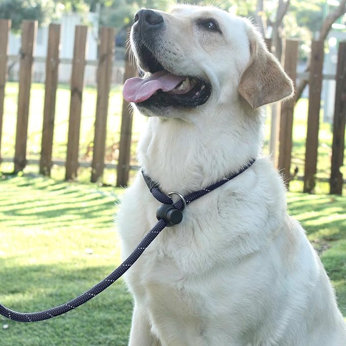 Slip Lead Dog Leash Reflective with Stopper Loop Rope Training No Pull for Medium Large Dogs 7ft Black