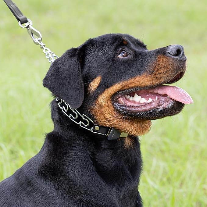 Herm Sprenger Prong Collar with Quick Release Cliclock Buckle & Short Links & Biothane Insert | Chrome Plated Steel No Pull Dog Training Collar Made in Germany, 20in x 3.0mm Necks up to 16-17in, Black