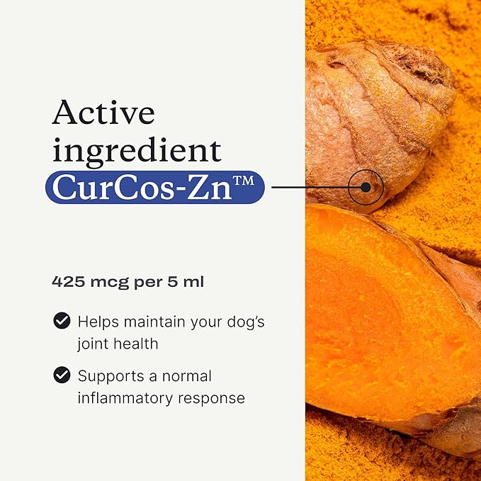 PetLab Co. Joint & Mobility Oil for Dogs – Mobility Pro Oil - Curcumin for Joint Support – Promote Healthy Joints & Flexibility – Easy to Use