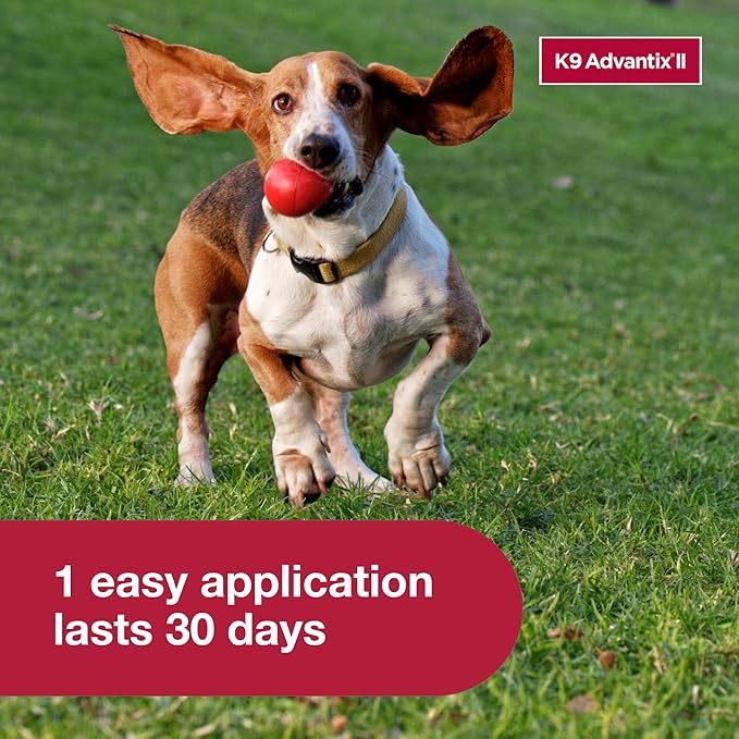 K9 Advantix II Small Dog Vet-Recommended Flea, Tick & Mosquito Treatment & Prevention | Dogs 4-10 lbs. | 3-Mo Supply