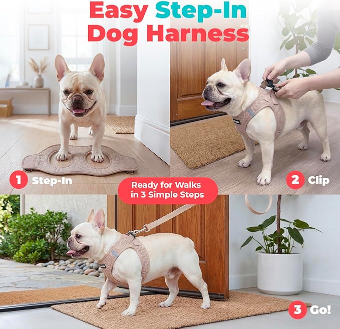 Best Pet Supplies Voyager Step-in Air Harness - All Weather Mesh, Reflective, No Pull Harness for Dogs, Cats - Secure with Hook & Loop Fastener, Buckle, Double D-Rings - Khaki, XXXS
