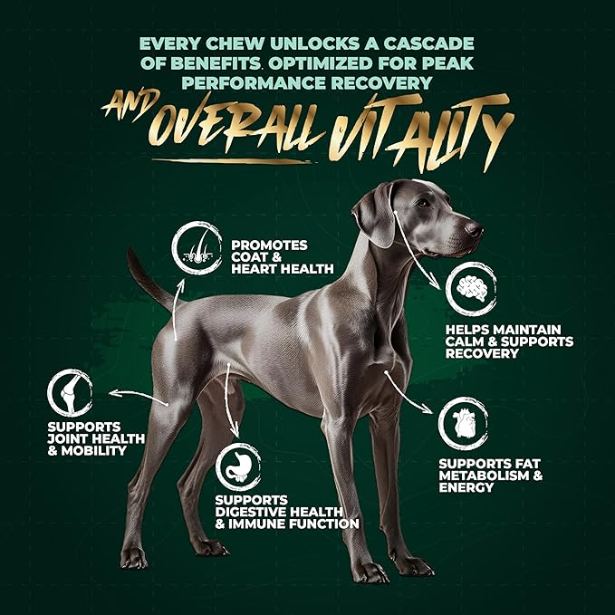 High-Performance & Longevity Soft Chews for Hunting, Sport and Working Dogs with Glucosamine, Chondroitin, Omega-3, Antioxidants, Ashwagandha, Probiotics, Beef Flavor, 90 Count