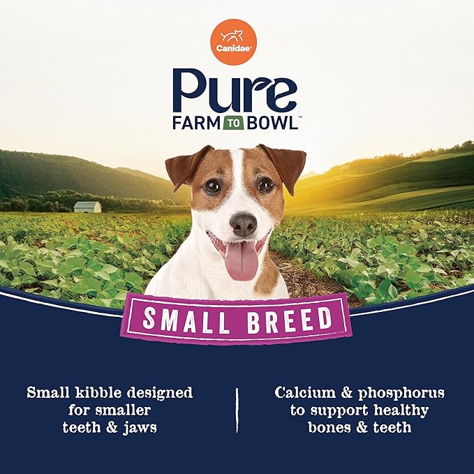 Canidae Pure Farm to Bowl Small Breed, Wild-Caught Salmon & Lentil Recipe, 10 lbs.