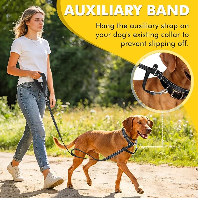 XiaZ 6FT Slip Leash for Dogs,Dog Leash with Comfortable Flat Collar and Soft Padded Double Handle,Nylon Reflective No Pull Leashes for Small Medium Large Dogs, Training Walking Running (Black)